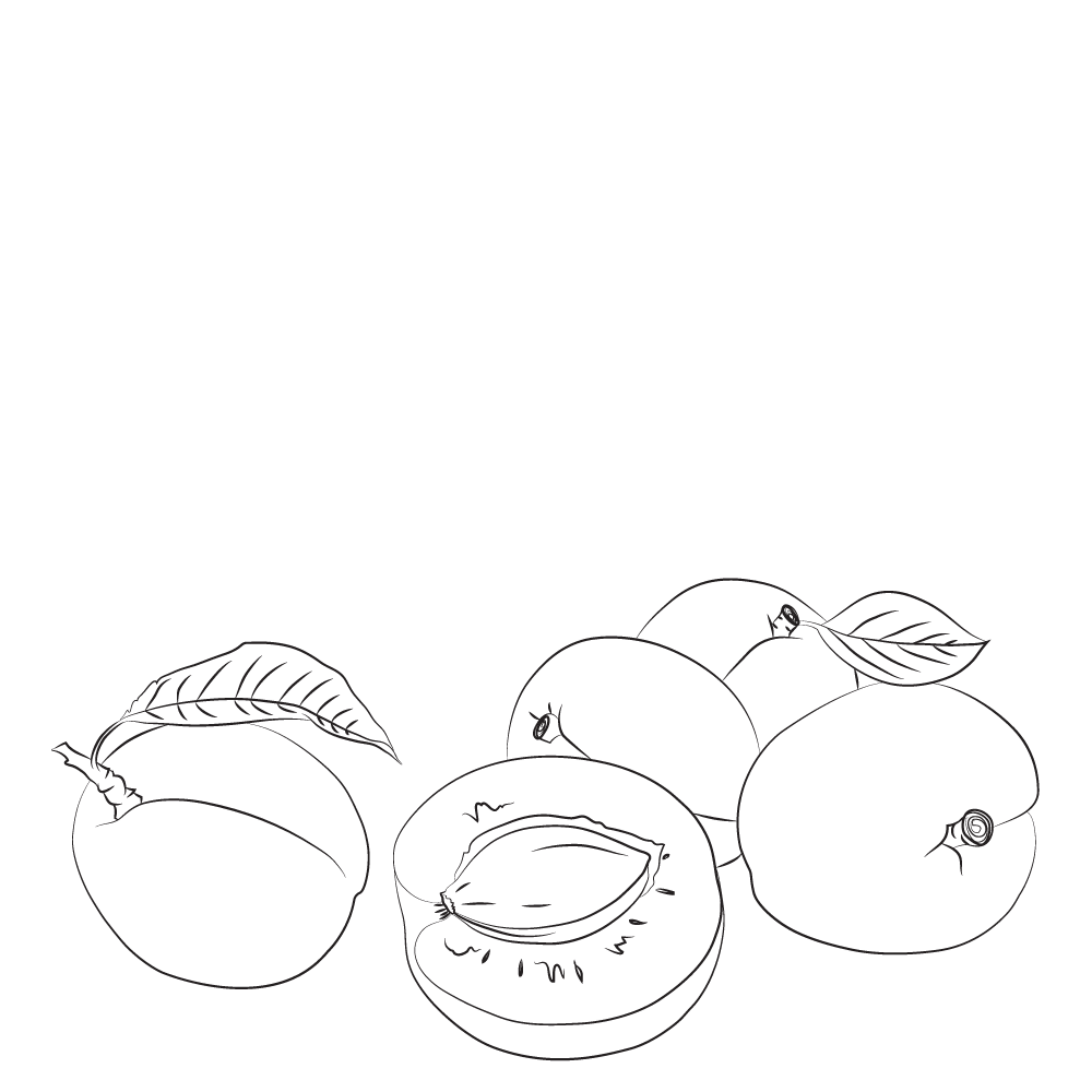 Apricot organic apricot kernels