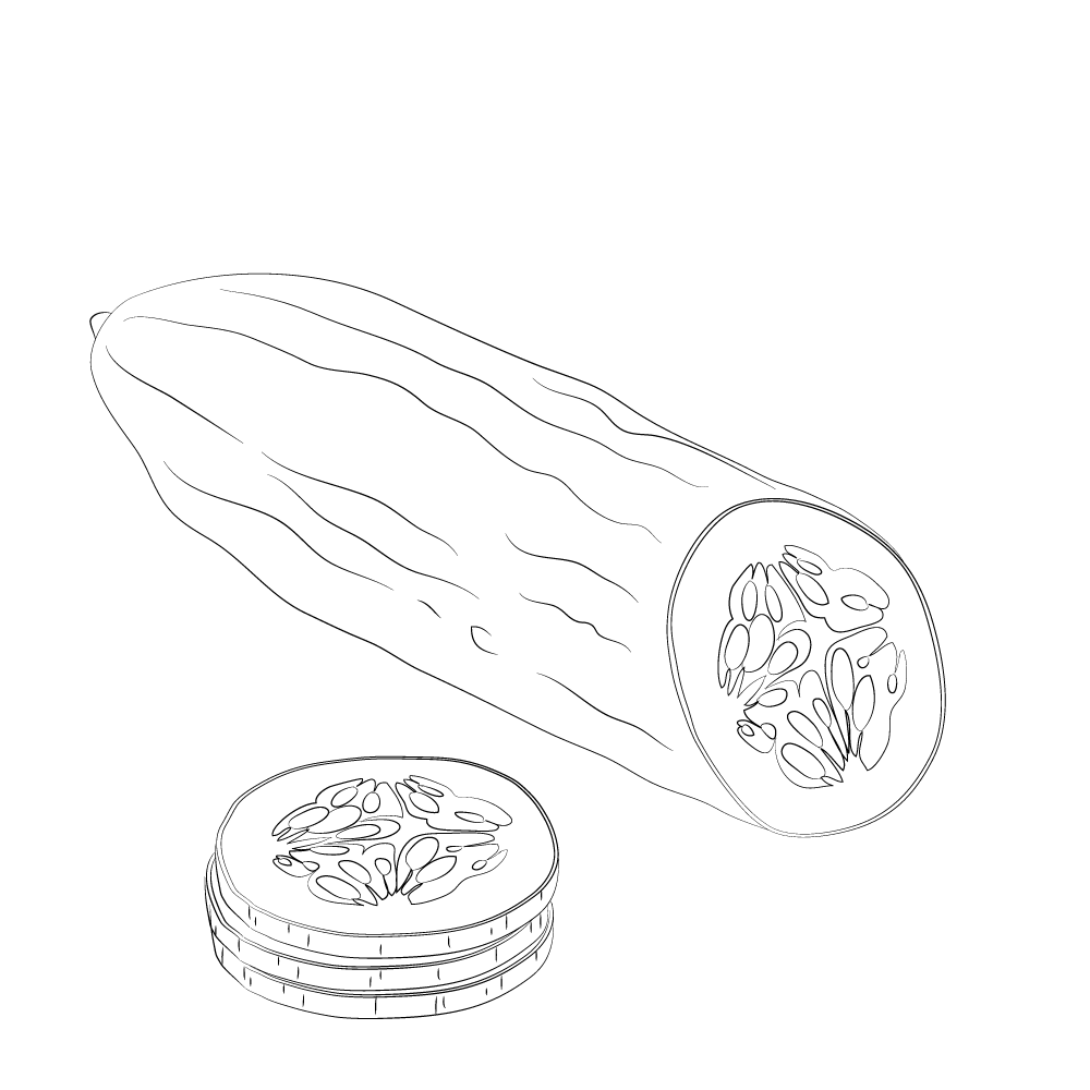 concombre-frais-bio