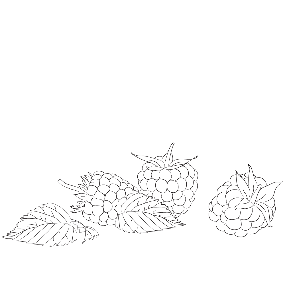 huile-pepin-framboise-bio Huile de pépin de framboise bio et bon pour la peau