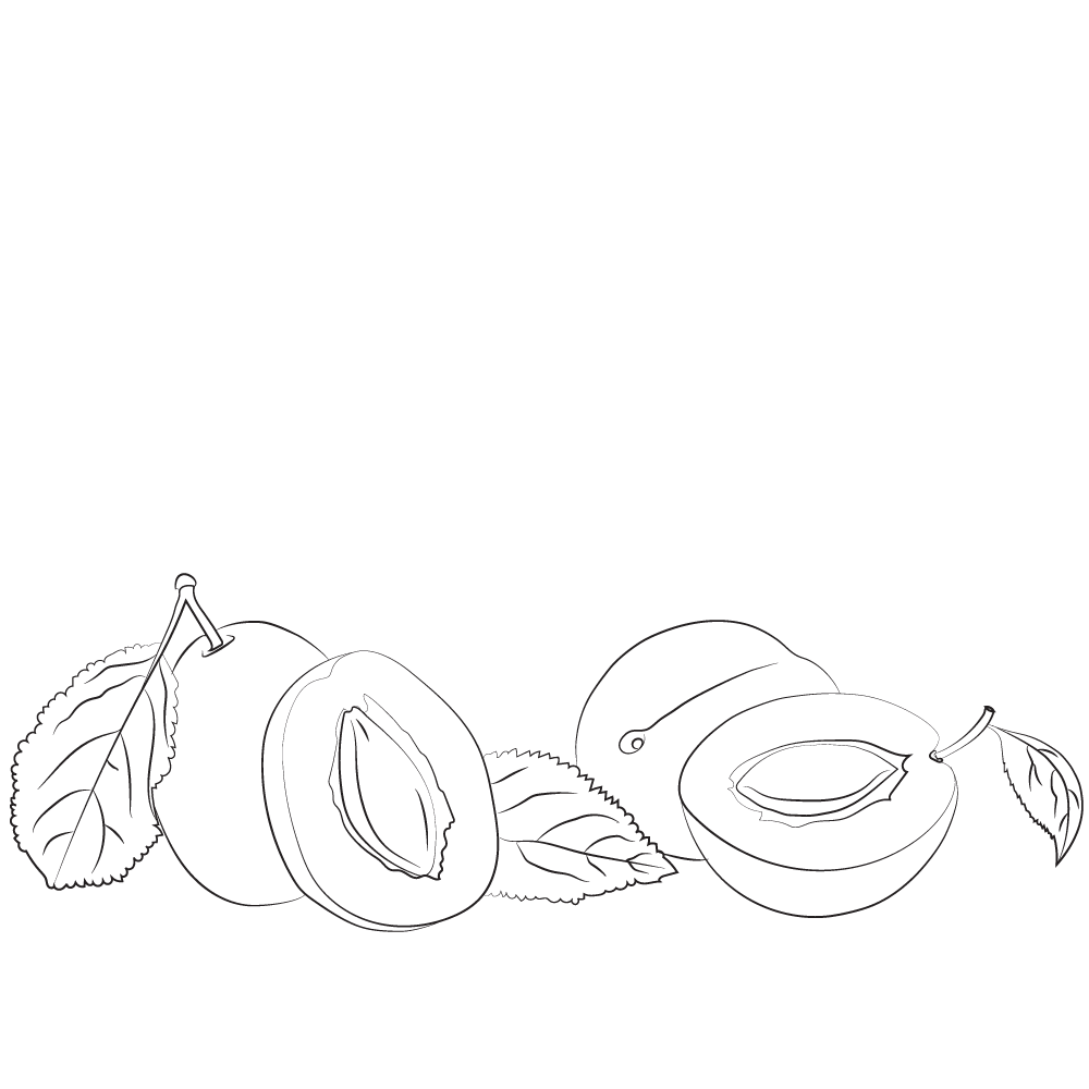 prune-bio Amandon de prune bio