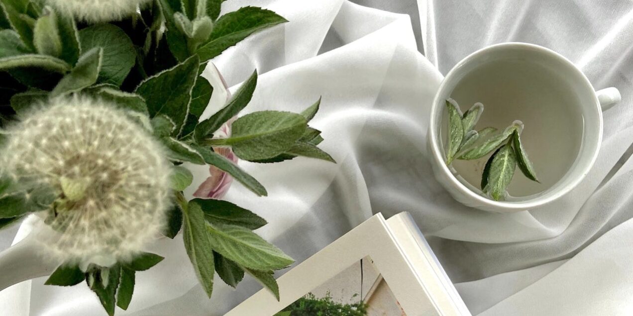 Détox Fées en Provence