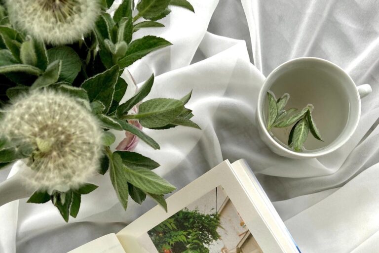 Détox Fées en Provence