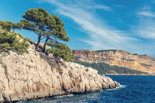 Provence Fees en Provence