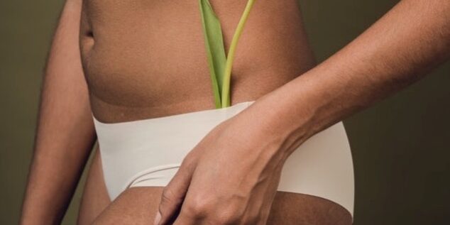 Vergetures fees en provence