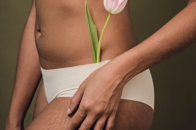 Vergetures fees en provence